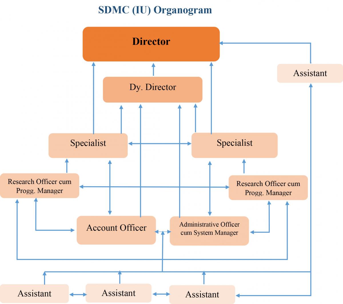 oraganogram